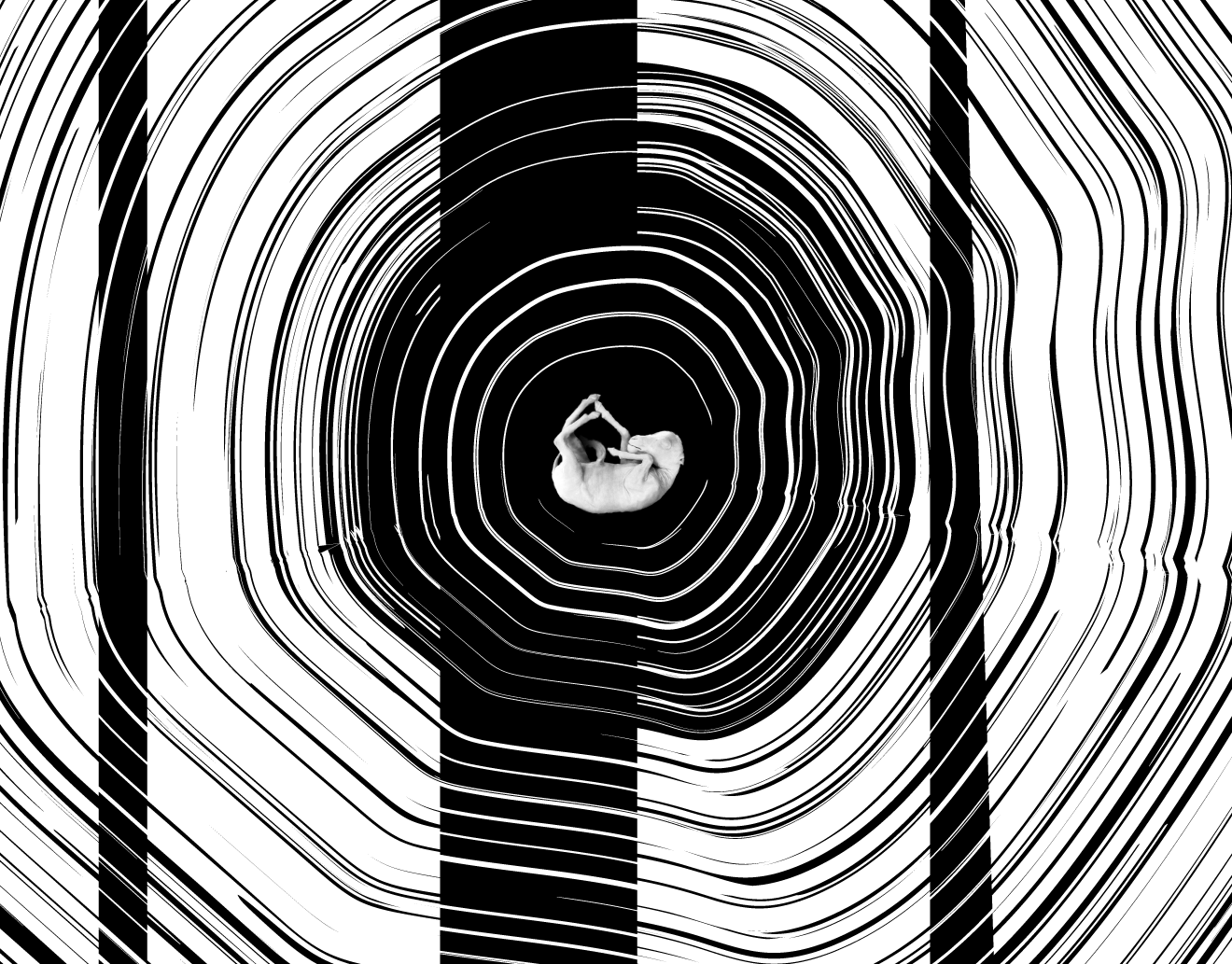 WOMB